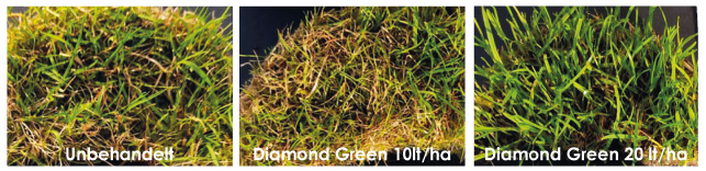 Nährstoffmischung Diamond-Green